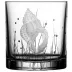 Pacifica Shell Clear Double Old Fashioned