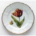 Old Master Tulips Red, Yellow, & Orange Tulip Salad Plate 7.75 in Rd