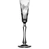 Springtime Clear Champagne Flute H