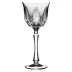 Captiva Clear Water Goblet