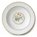 Botanique Soup Plate 8.5 in Rd