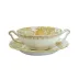 Aves Gold Cream Soup Cup