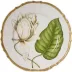 Magnolia by Anna Weatherley Dinner Plate 10 in Rd