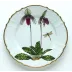 Orchid Dinner Plate #3 10.5 in Rd