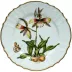 Orchid Dinner Plate #4 10.5 in Rd