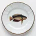 Antique Fish Blue/Brown/Red Salad Plate 7.5 in Rd