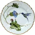 Hummingbird Bread & Butter Plate