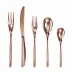 Bamboo Copper 5-Pc Place Setting Solid Handle 18/10 Stainless Steel Pvd Mirror