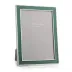 Silver Trim, Fern Enamel Picture Frame 5 x 7 in