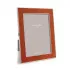 Orange Snake and Silver Natural Picture Frame 4 x 6 in