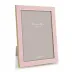 Gold Trim, Pastel Pink Enamel Picture Frame 5 x 7 in