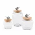 Butterfly Glass Canister Large