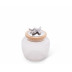 Olive Glass Canister Medium