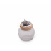 Shell Glass Canister Small