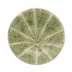 Melon Plate 20