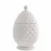 Pine Cone White Box 24 White