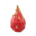 Tropical Fruits Pitaya Box