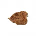 Gudrun Brown Birch Leaf