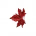 Gudrun Red Maple Leaf