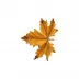 Gudrun Yellow Maple Leaf