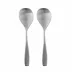 Voss Stainless Steel 2-Pc Serving Spoon