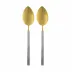 Hvar Stainless Steel/Gold 2-Pc Serving Spoon
