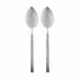 Hvar Stainless Steel 2-Pc Serving Spoon
