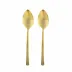 Ellsworth Gold 2-Pc Serving Spoon