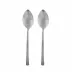Ellsworth Stainless Steel 2-Pc Serving Spoon