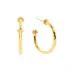 Berry Slice Gold Hoop Earrings Medium