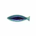 Dori Atlantic Blue Cavala (Mackerel) 8'' x 2.5'' H1.25''