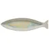 Dori Nacar Cavala (Mackerel) 17'' x 4.75'' H1.5''