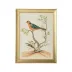 Watercolor Birds B