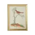 Watercolor Birds D