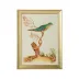 Watercolor Birds E