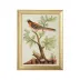 Watercolor Birds F