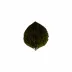Riviera Forêts Hydrangea Leaf 6.75'' x 6'' H1.25''