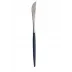 Goa Blue Handle/Steel Matte Dinner Knife 8.9 in (22.5 cm)