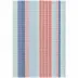 Aruba Stripe Woven Cotton Rug 2' x 3'