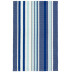 Skyler Stripe Handwoven Indooor/Outdoor Rug 2' x 3'