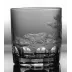 Safari Hippo Clear Double Old Fashioned