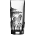 Safari Lion Clear Highball Tumbler