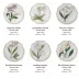 Jardin D'Orchidees Six Dinner Plates 10.25 in Rd (Special Order)