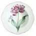 Botanical Treasures Rimmed Soup Bowl 9.2" D