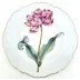 Botanical Treasures Salad Plate 8" D