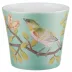 Paradis Fond Turquoise Candle Pot 3.35 in Gift Box