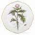 Anna's Garden Salad Plate