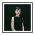 Audrey Hepburn by Getty Images 40" x 40" Black Maple