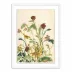 Meadow Rue 2 by Shaina Page White 1.5 Maple 18" x 24" White Maple Framed Metal