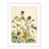 Meadow Rue 2 by Shaina Page White 1.5 Maple 18" x 24" White Maple Framed Paper